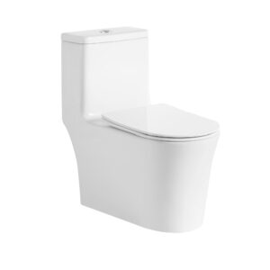 Santiario One Piece New Fonte